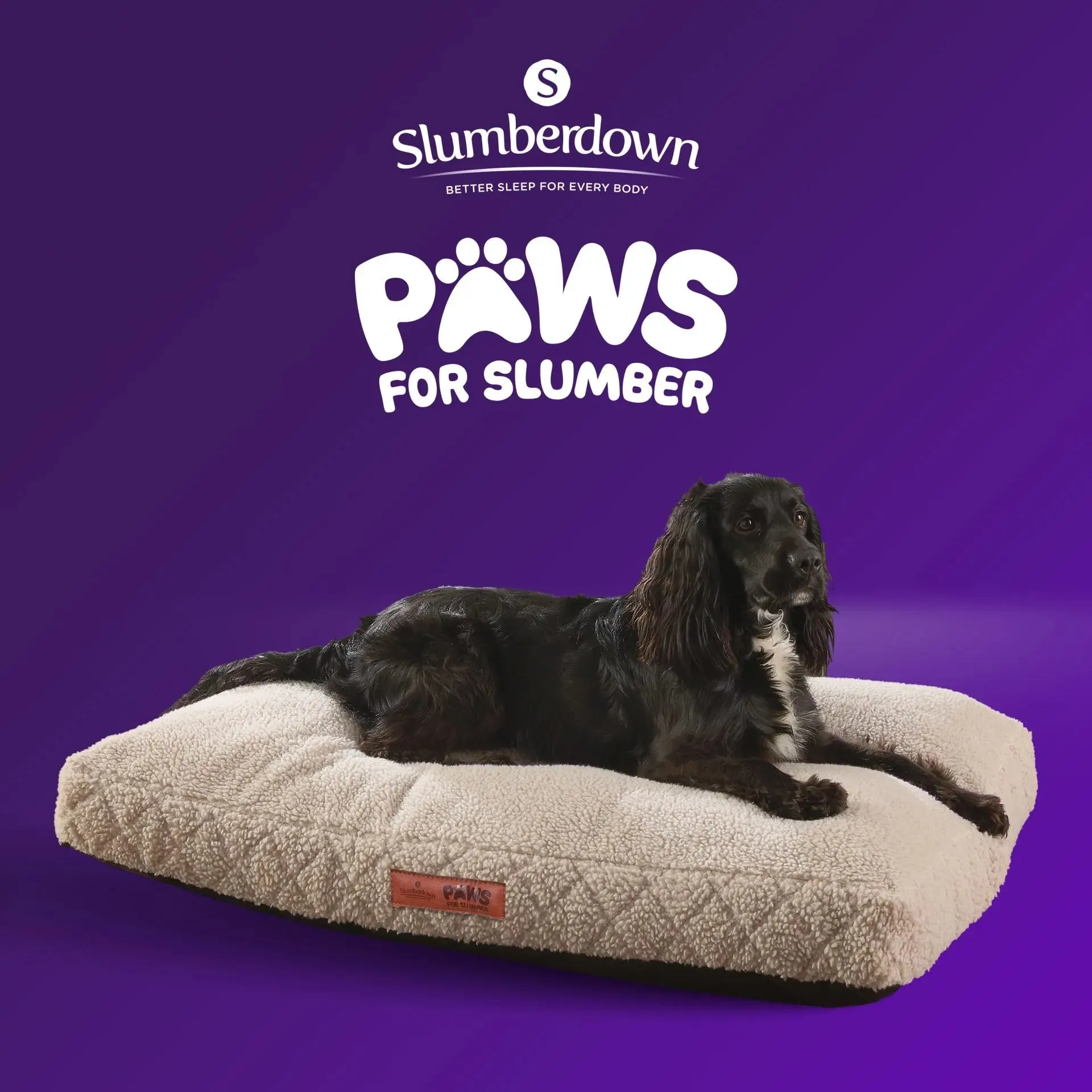 Paws for Slumber Sherpa Fleece Pet Bed