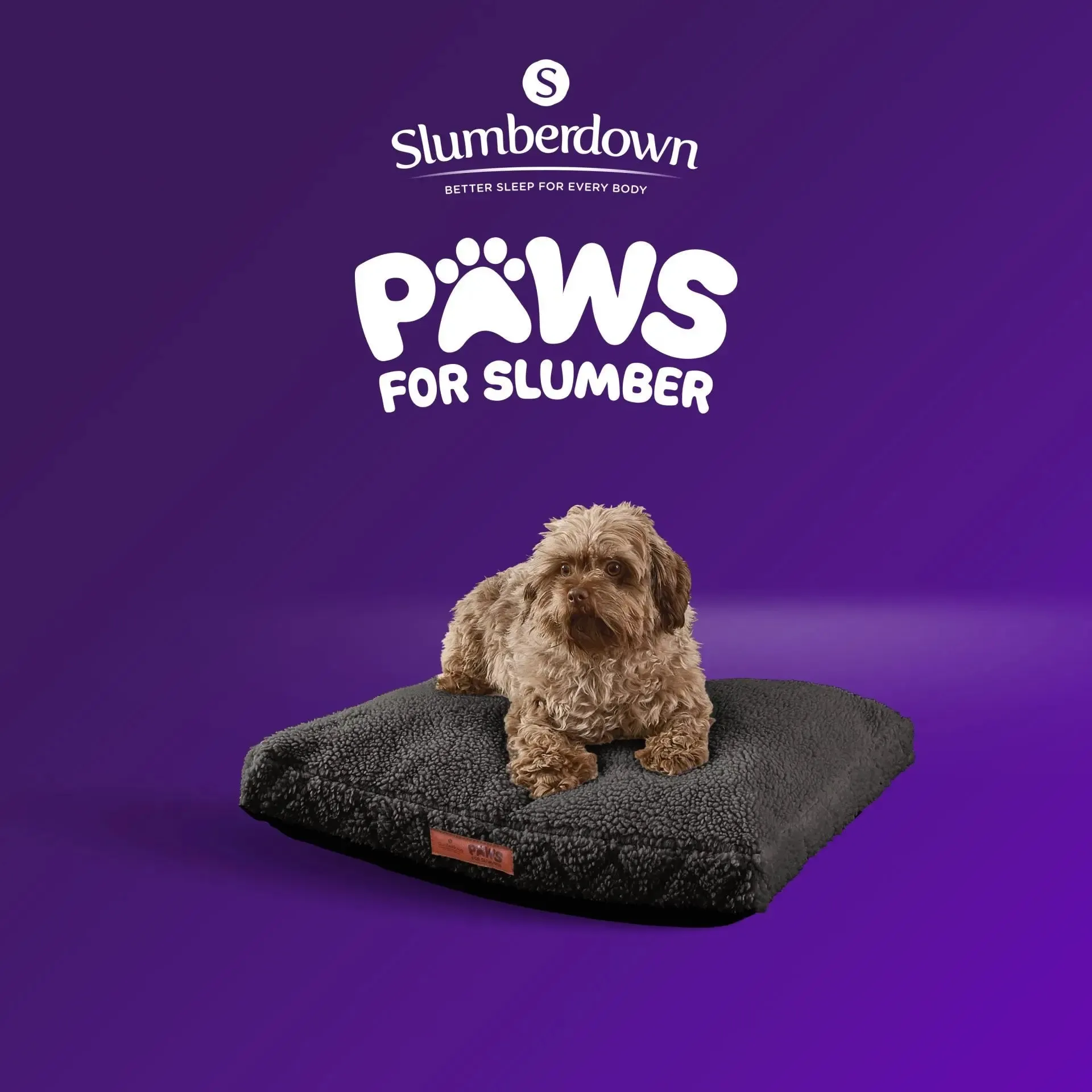 Paws for Slumber Sherpa Fleece Pet Bed